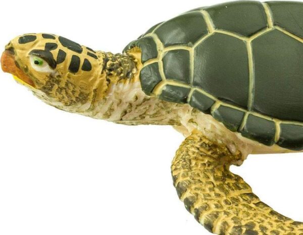 Green Sea Turtle Toy