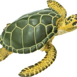 Green Sea Turtle Toy