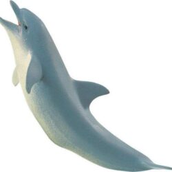 Dolphin Toy