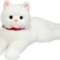 Alba White Cat