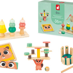 Janod Developmental Activity Box - 36 Months