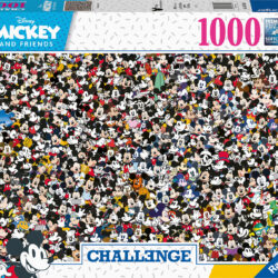 Mickey Challenge