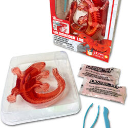 Dissect-It Salamander Lab Kit