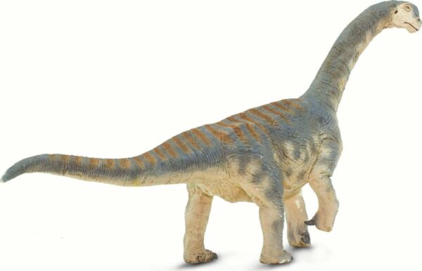 Camarasaurus Toy