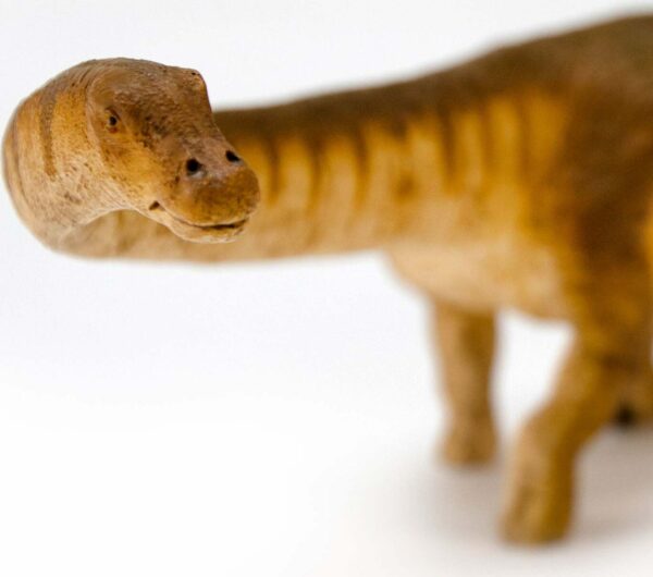 Patagotitan Toy Dinosaur Figure