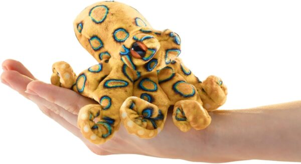 Mini Blue Ringed Octopus